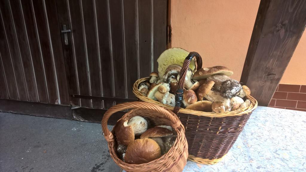 Penzion Jizerka Jablonec nad Nisou Exteriör bild
